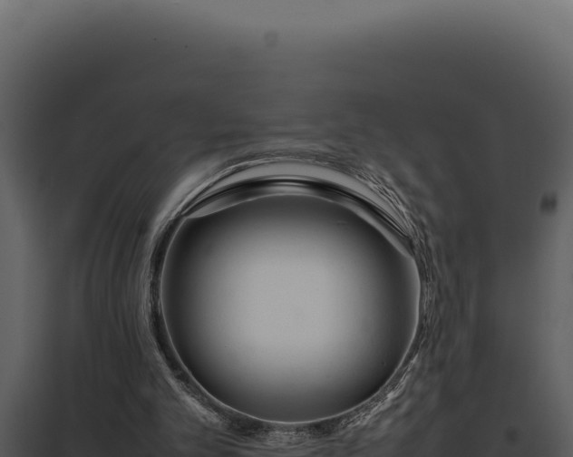 X0000097960101200804011707