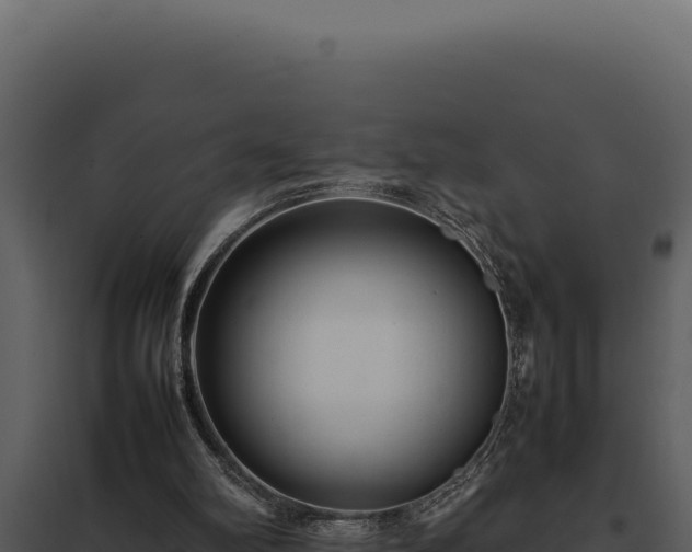 X0000097960102200804011707