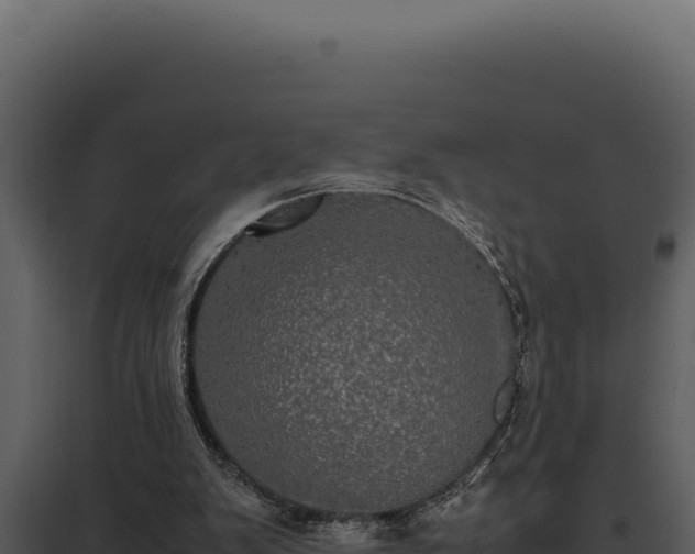 X0000097960103200804011707