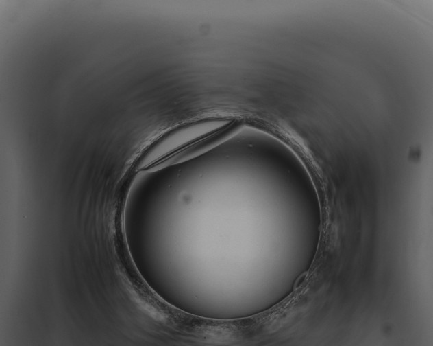 X0000097960106200804011707