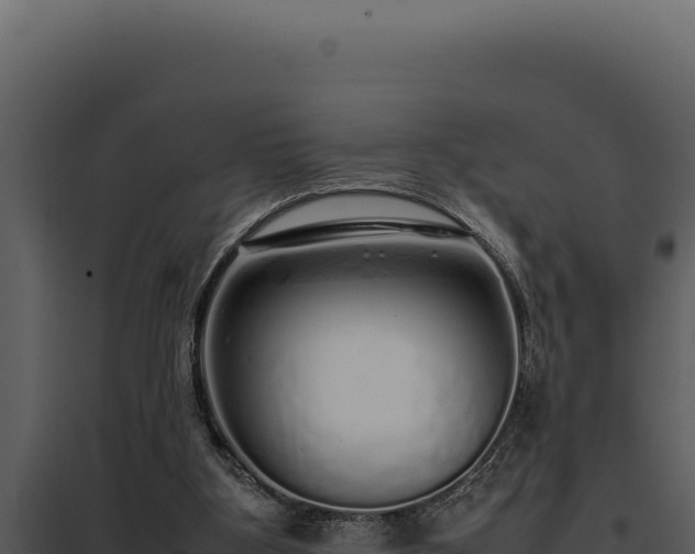 X0000097960107200804011707