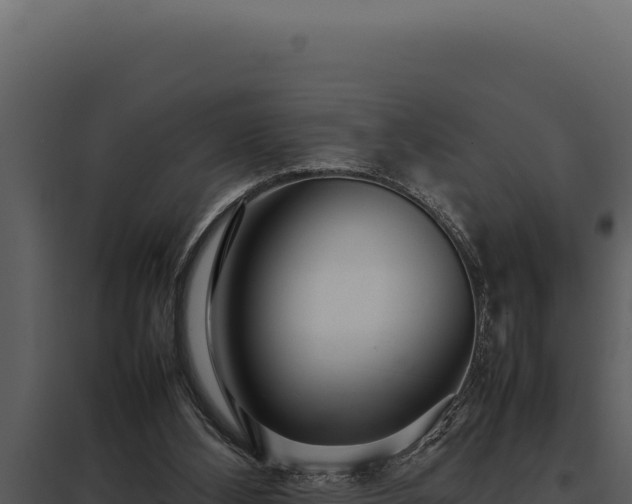 X0000097960108200804011707