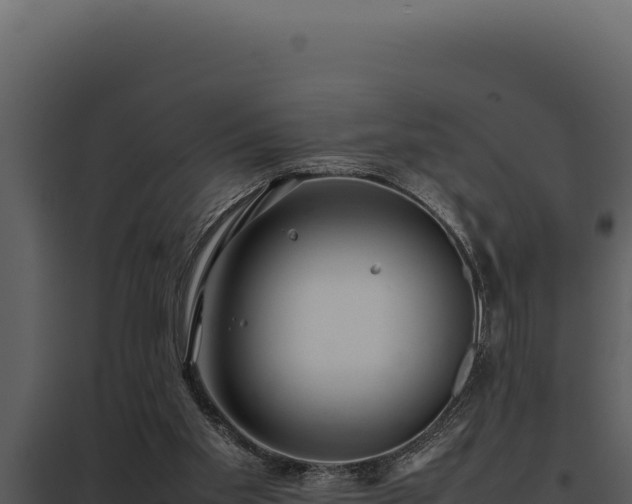 X0000097960109200804011707