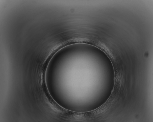 X0000097960110200804011707