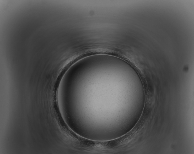 X0000097960111200804011707
