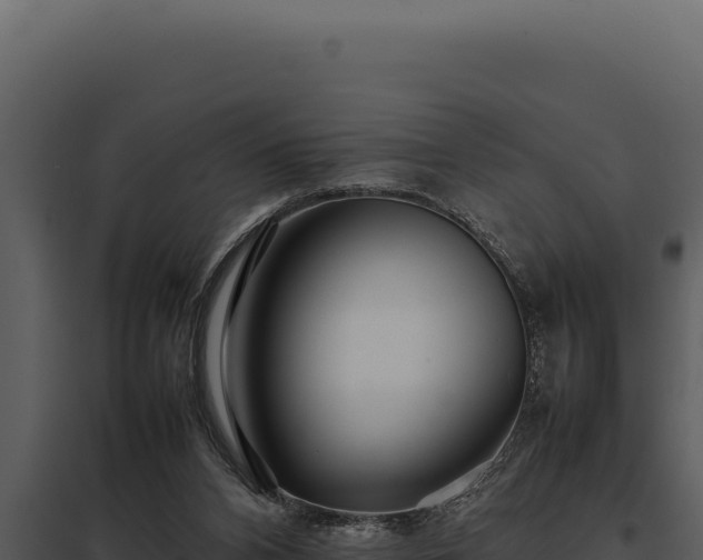 X0000097960112200804011707
