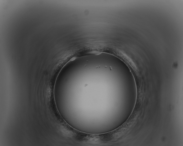X0000097960113200804011707