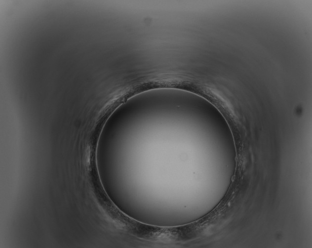 X0000097960115200804011706