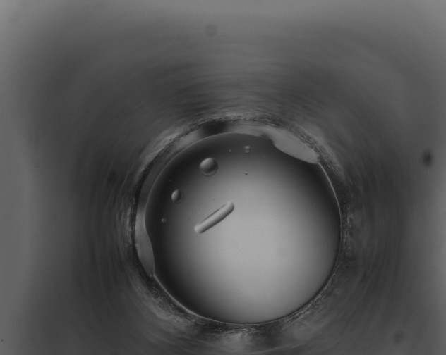X0000097960116200804011706