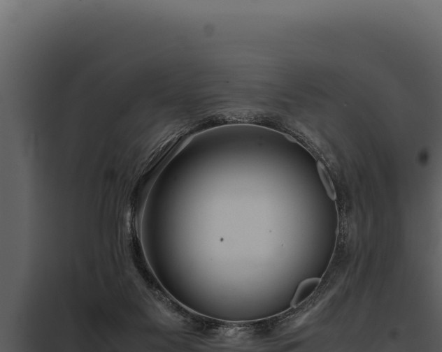 X0000097960117200804011706