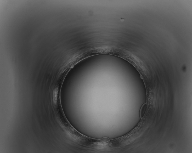 X0000097960118200804011706