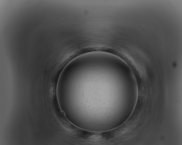 X0000097960119200804011706