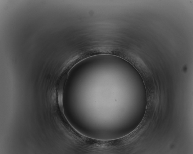 X0000097960120200804011706