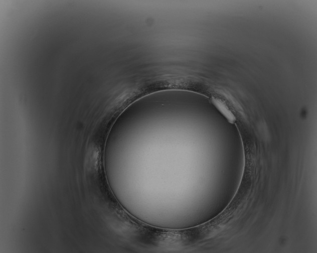 X0000097960123200804011706