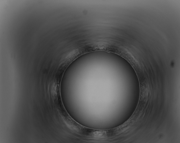 X0000097960126200804011706