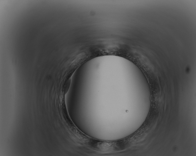 X0000097960129200804011706