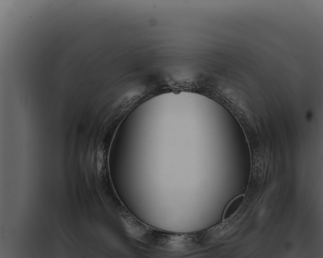 X0000097960130200804011706
