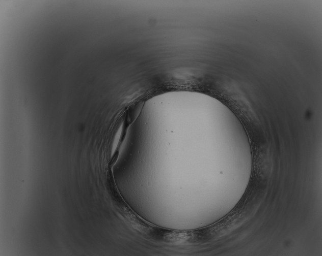 X0000097960131200804011706