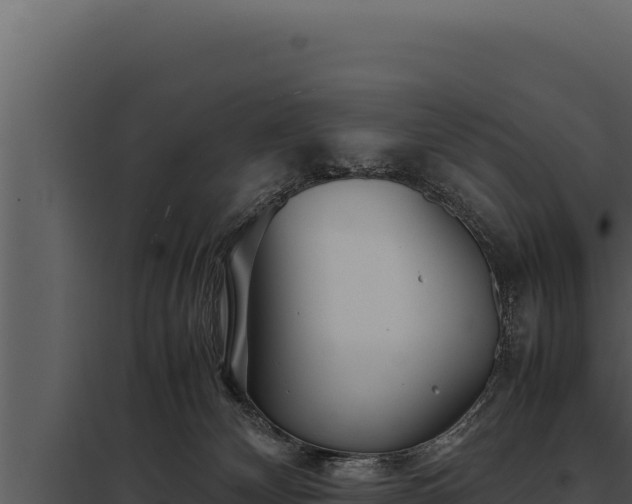 X0000097960132200804011706
