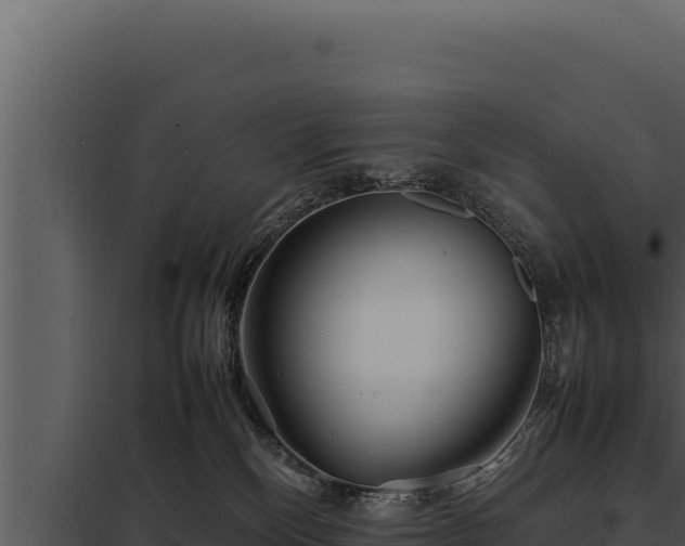 X0000097960136200804011706