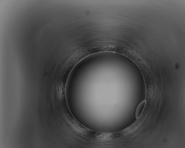 X0000097960138200804011706
