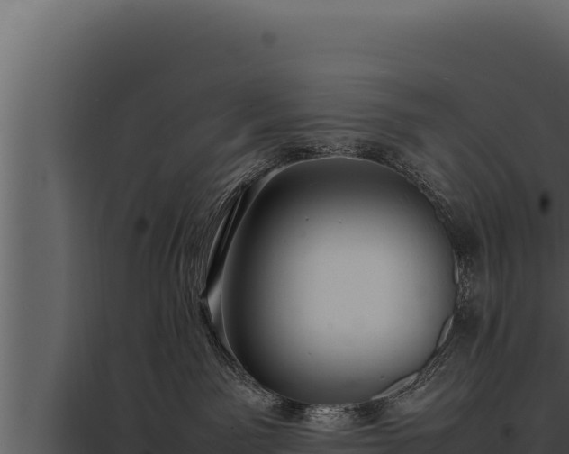 X0000097960141200804011706