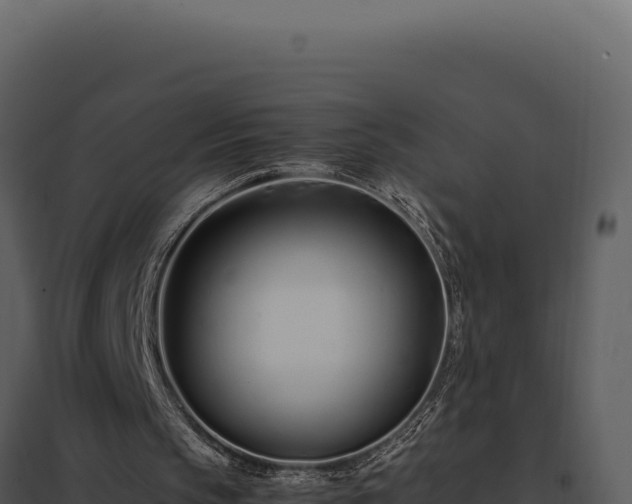 X0000097960145200804011705