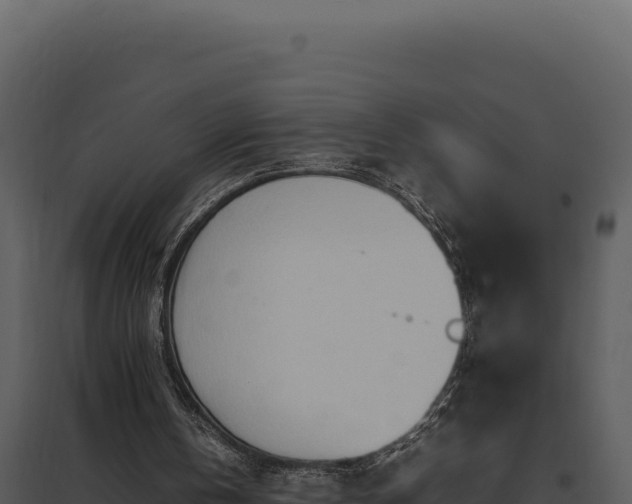 X0000097960146200804011705