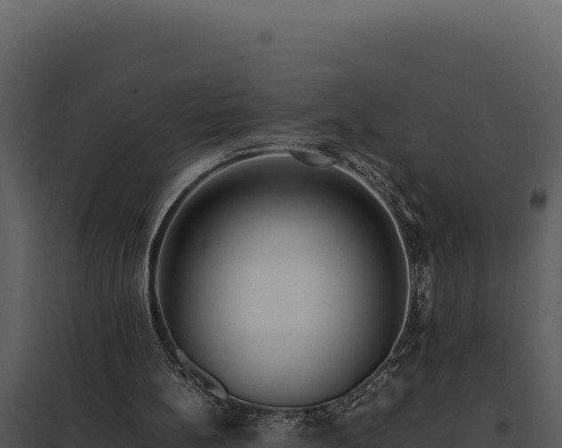 X0000097960148200804011705