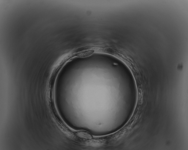 X0000097960149200804011705