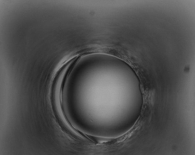 X0000097960150200804011706