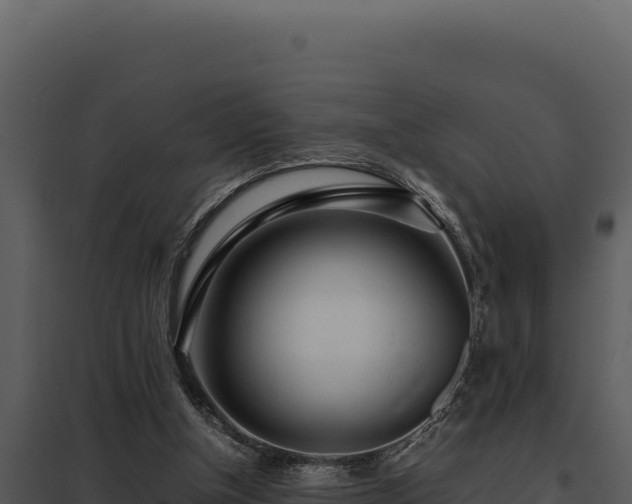 X0000097960154200804011706