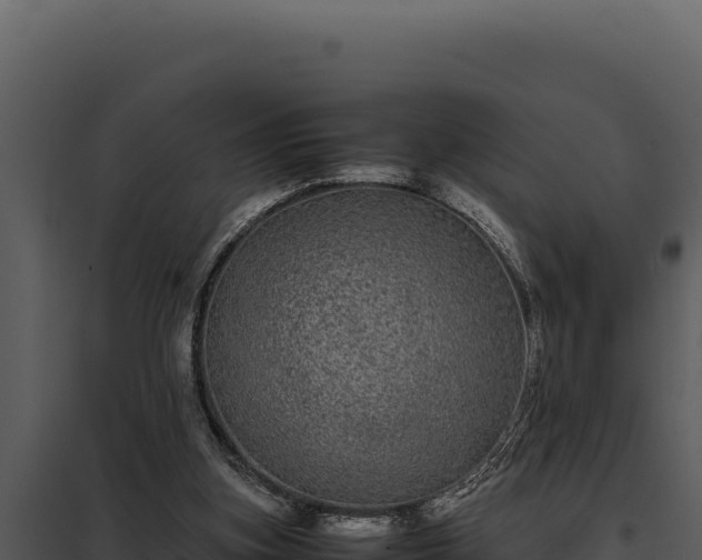 X0000097960155200804011706