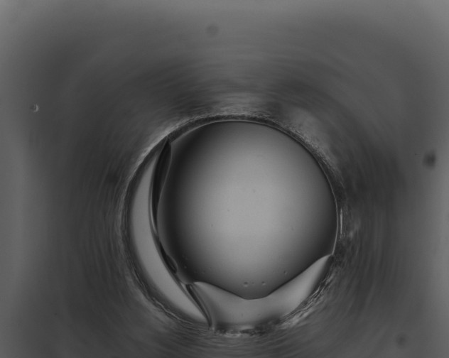 X0000097960156200804011706