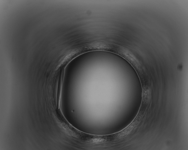 X0000097960158200804011706