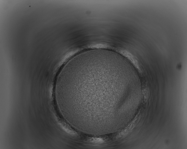 X0000097960159200804011706