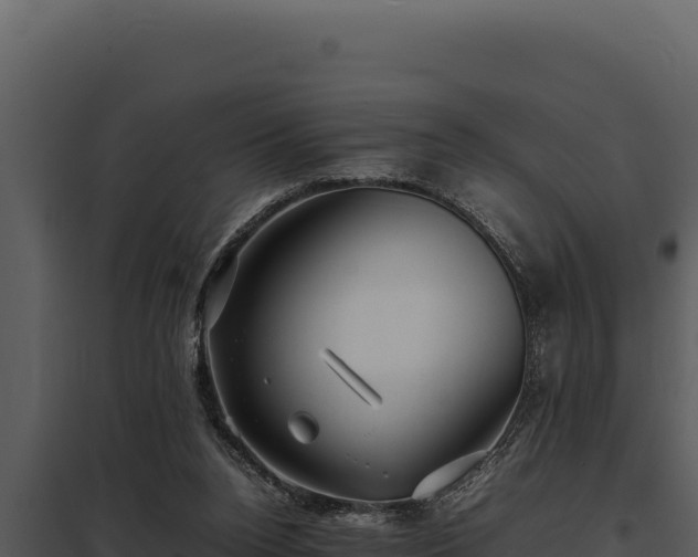 X0000097960160200804011706