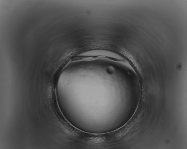 X0000097960161200804011706