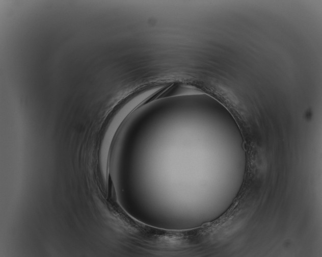 X0000097960164200804011706