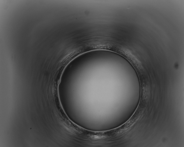 X0000097960165200804011706