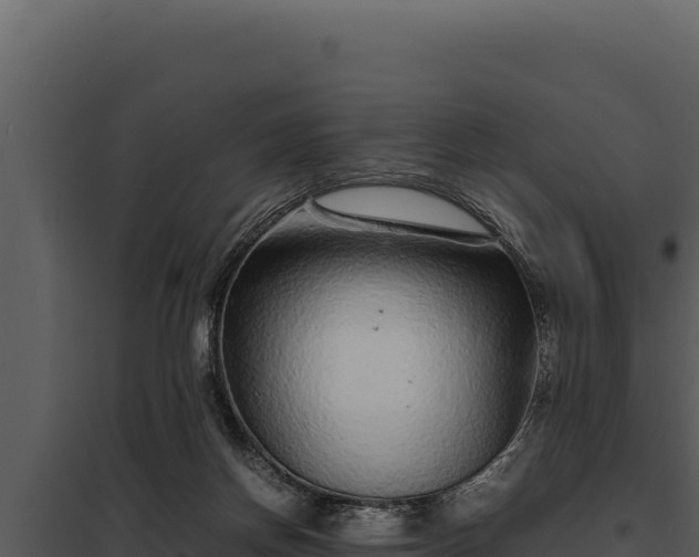 X0000097960166200804011706