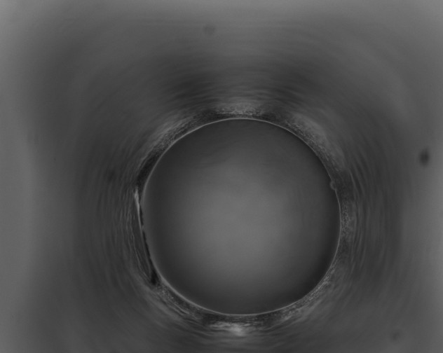 X0000097960167200804011706