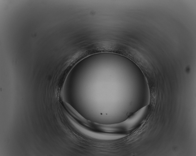 X0000097960168200804011706