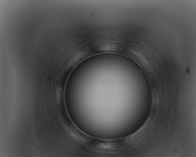 X0000097960171200804011706