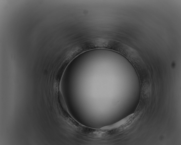 X0000097960172200804011706