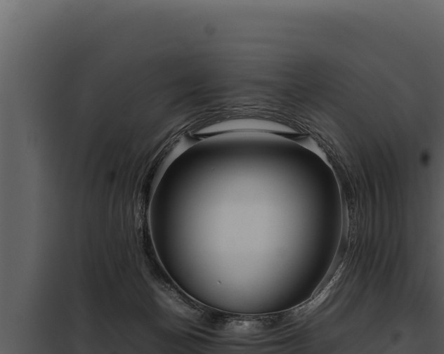 X0000097960174200804011706