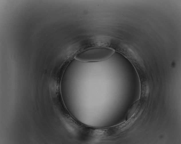 X0000097960176200804011706