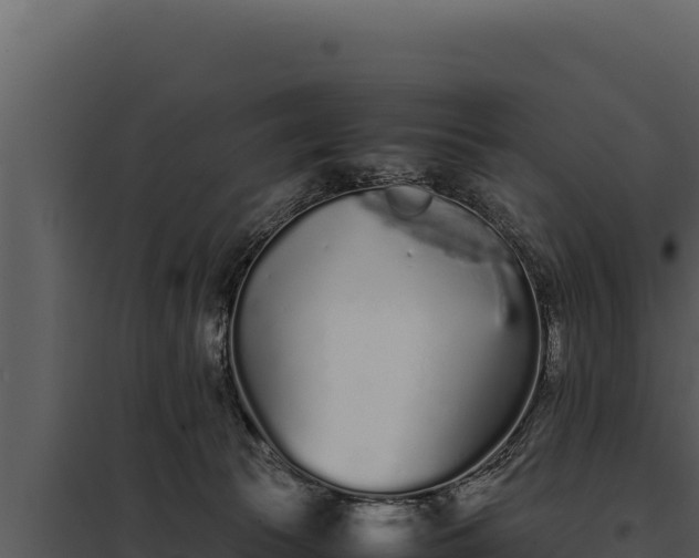 X0000097960177200804011706