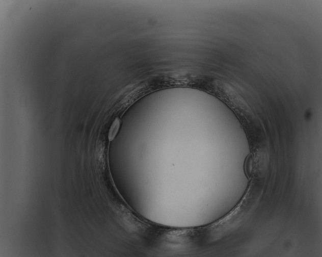 X0000097960178200804011706