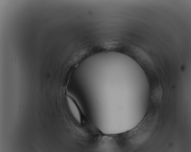 X0000097960180200804011706